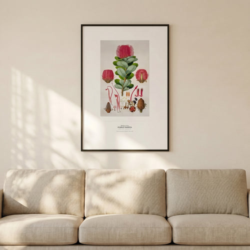 50 by 70 cm print on a wall