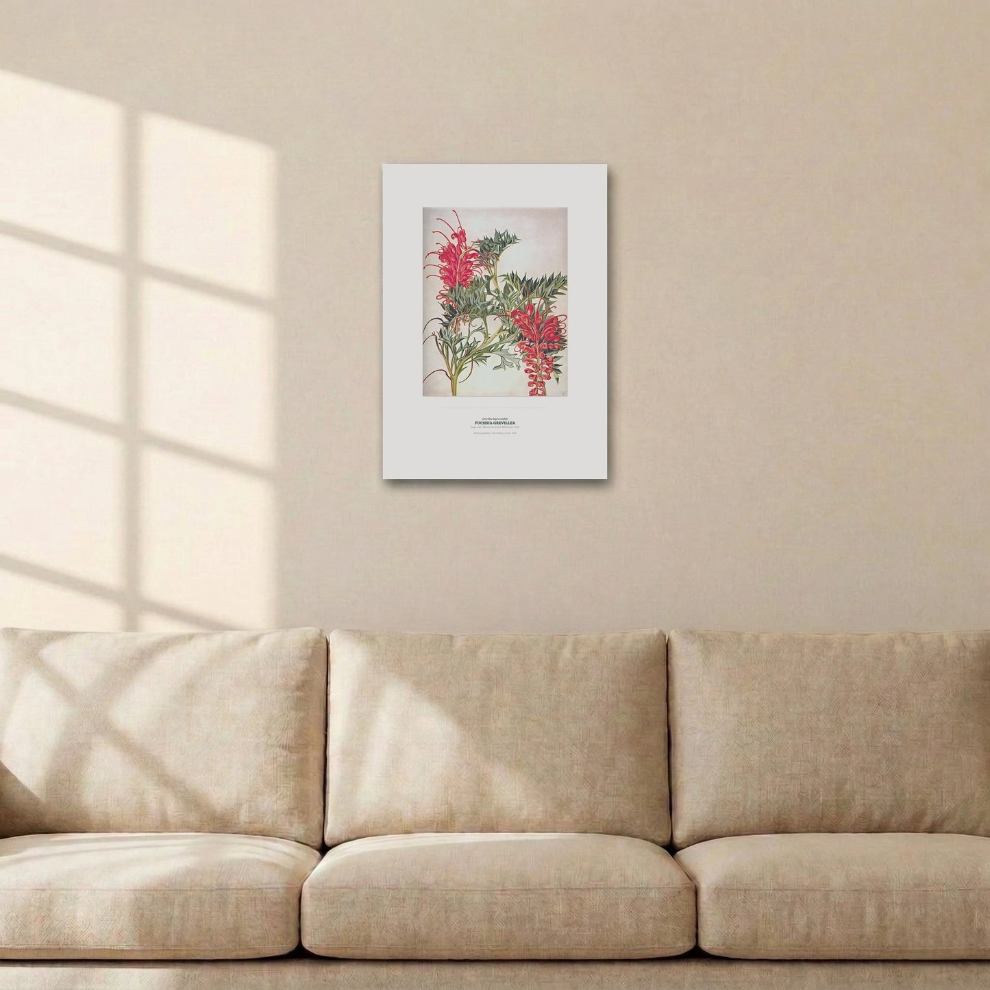 Fuchsia Grevillea Botanical Art Print - Birch & Banksia