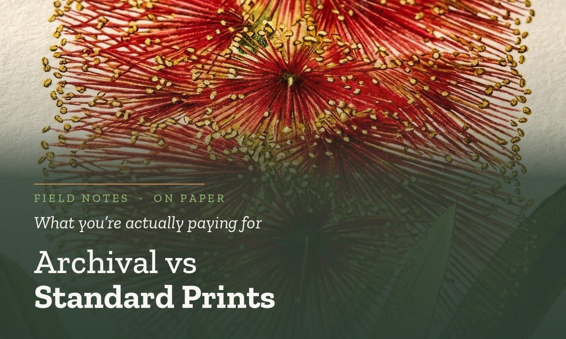 Archival Art Prints vs Standard Prints: What Are You Actually Paying For? - Birch & Banksia