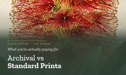 Archival Art Prints vs Standard Prints: What Are You Actually Paying For? - Birch & Banksia