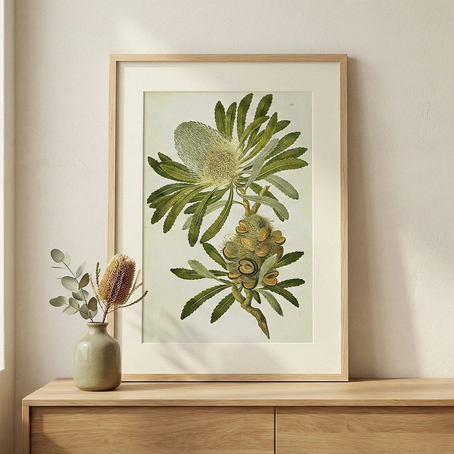 Botanical Art Prints | Birch & Banksia - Birch & Banksia