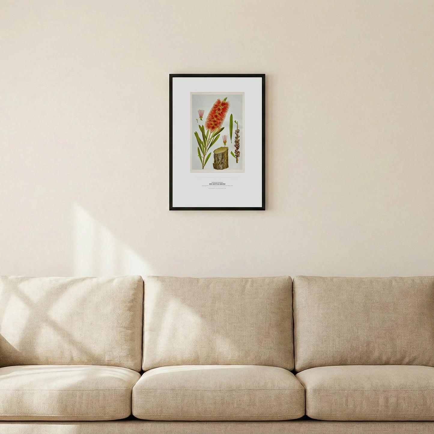 Red Bottle - Brush Botanical Art Print - Birch & Banksia