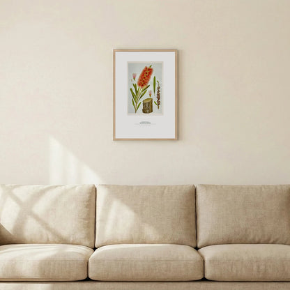 Red Bottle - Brush Botanical Art Print - Birch & Banksia