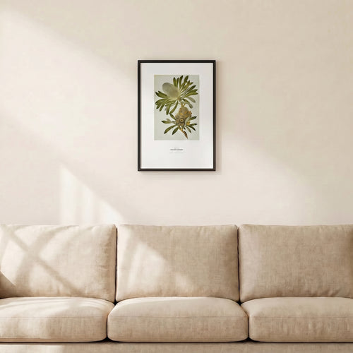 30 by 40 cm print on a wall