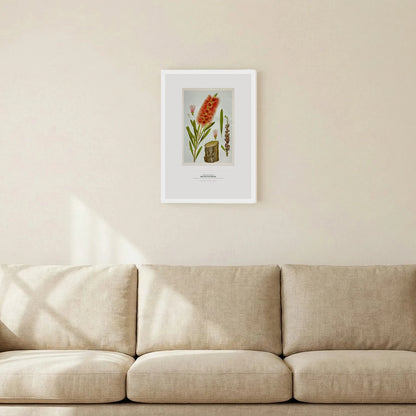 Red Bottle - Brush Botanical Art Print - Birch & Banksia