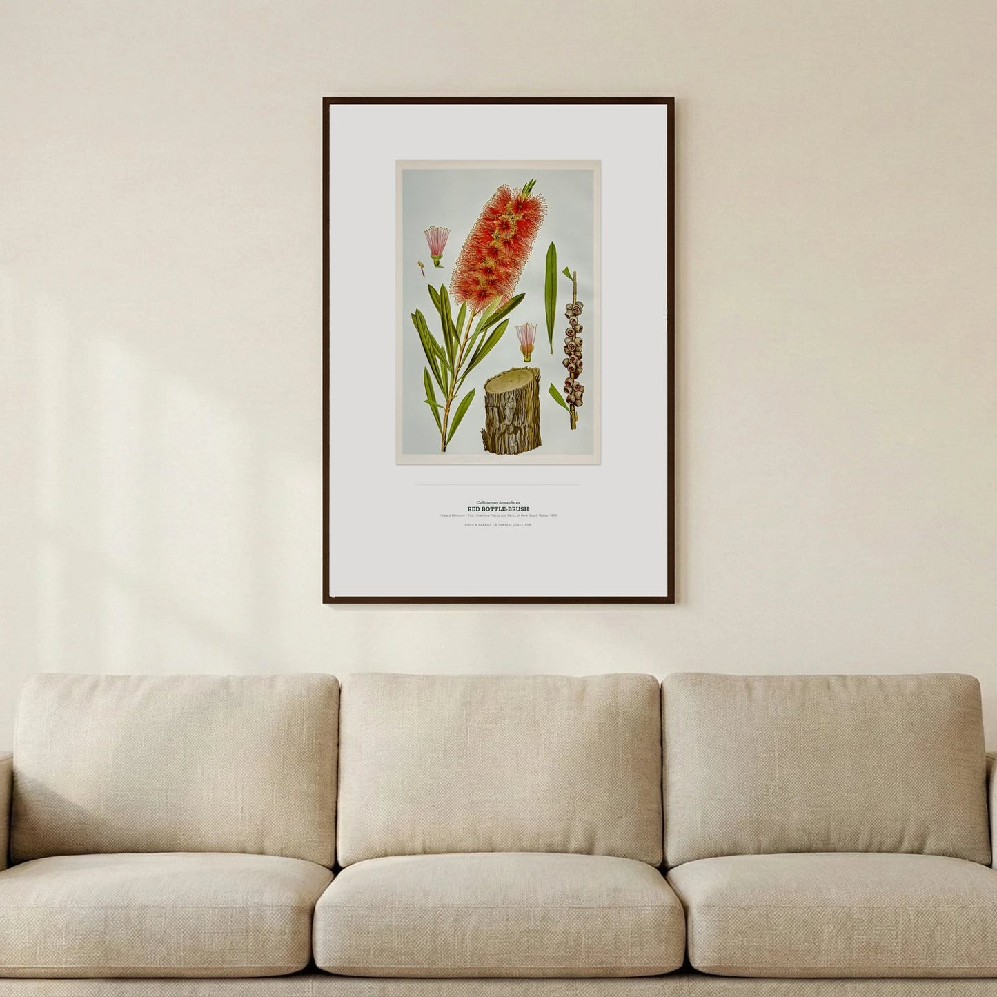 Red Bottle - Brush Botanical Art Print - Birch & Banksia