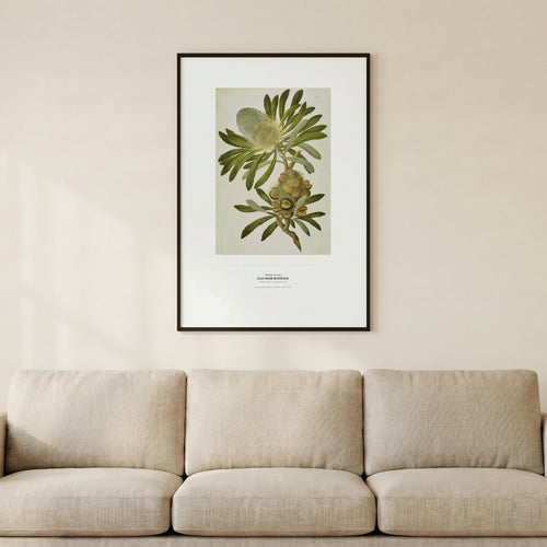 50 by 70 cm print on a wall