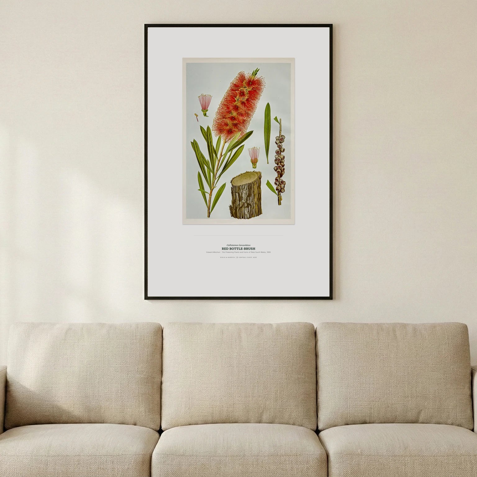 Red Bottle - Brush Botanical Art Print - Birch & Banksia