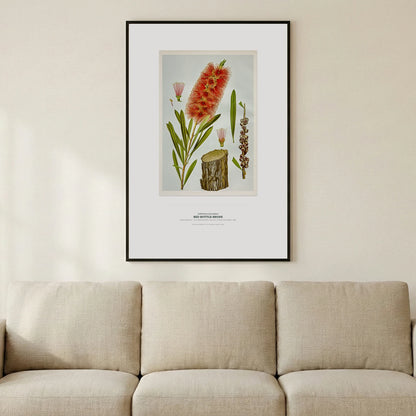 Red Bottle - Brush Botanical Art Print - Birch & Banksia