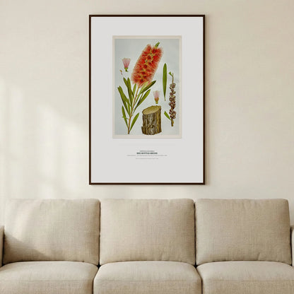 Red Bottle - Brush Botanical Art Print - Birch & Banksia