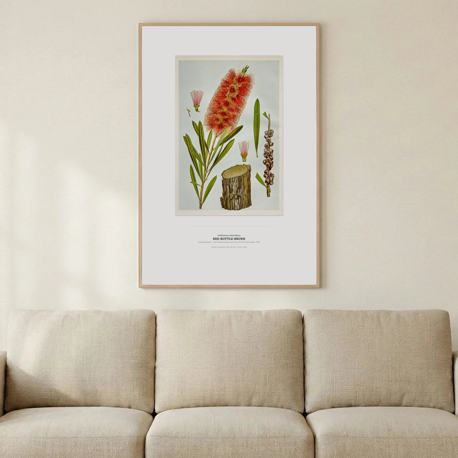 Red Bottle - Brush Botanical Art Print - Birch & Banksia