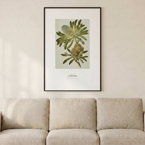 70 by 100 cm print on a wall