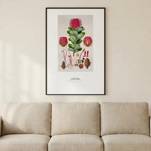 70 by 100 cm print on a wall