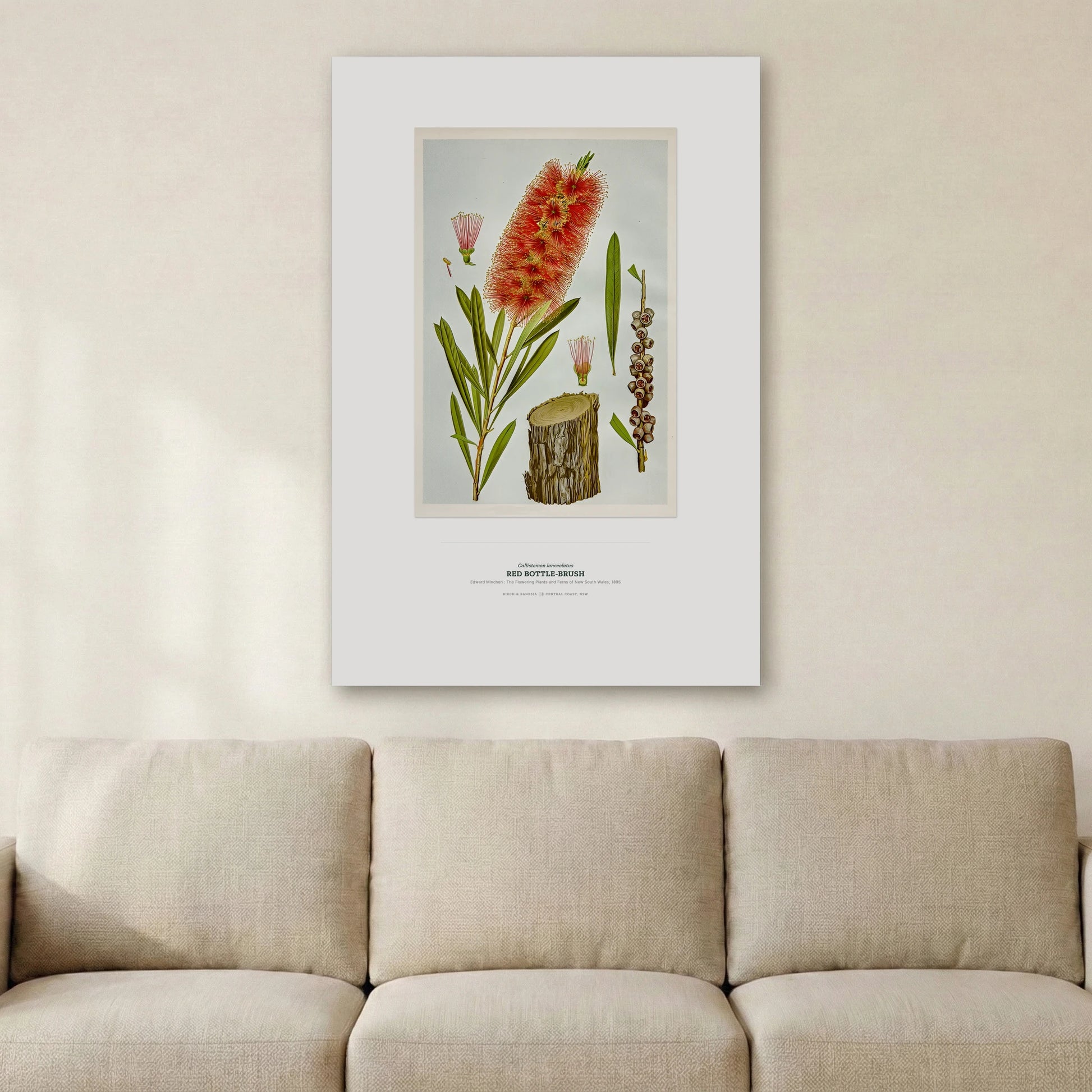 Red Bottle - Brush Botanical Art Print - Birch & Banksia