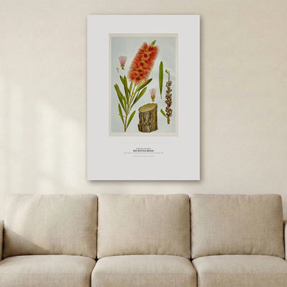 Red Bottle - Brush Botanical Art Print - Birch & Banksia