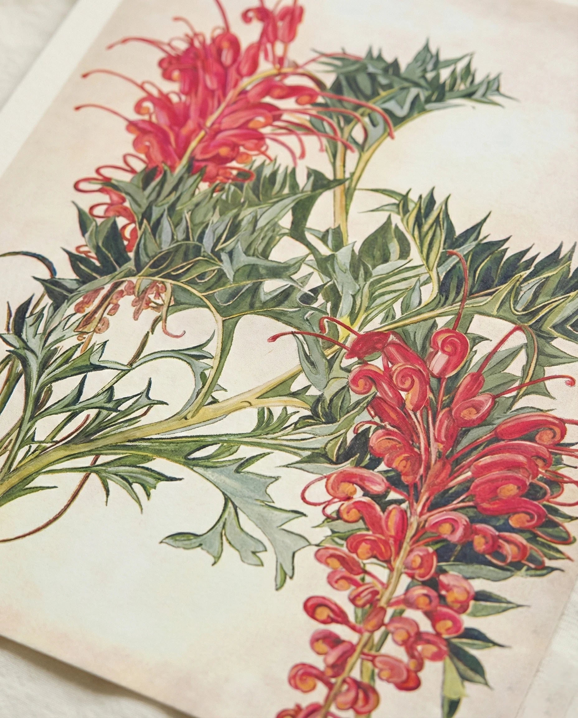 Illustration of red flowers with green leaves on a beige background