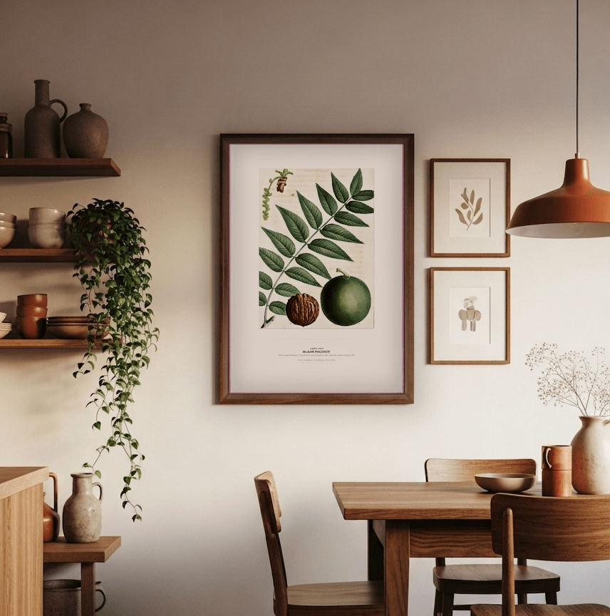 Black Walnut Botanical Art Print - Birch & Banksia