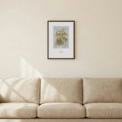 Canoe Birch Botanical Art Print - Birch & Banksia