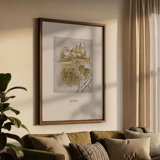Canoe Birch Botanical Art Print - Birch & Banksia