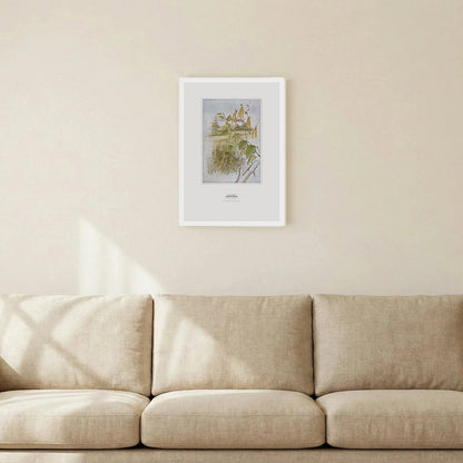 Canoe Birch Botanical Art Print - Birch & Banksia