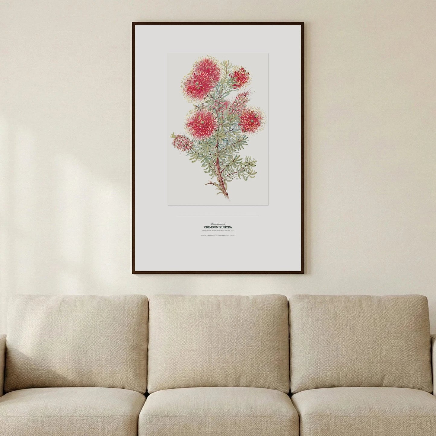 Crimson Kunzea Botanical Art Print - Birch & Banksia