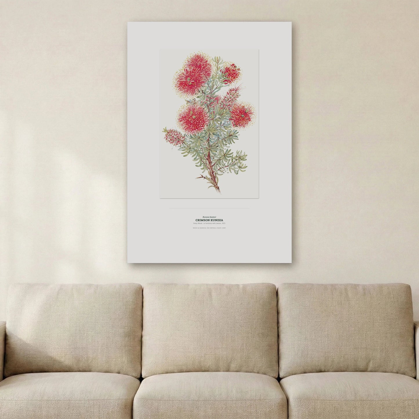 Crimson Kunzea Botanical Art Print - Birch & Banksia