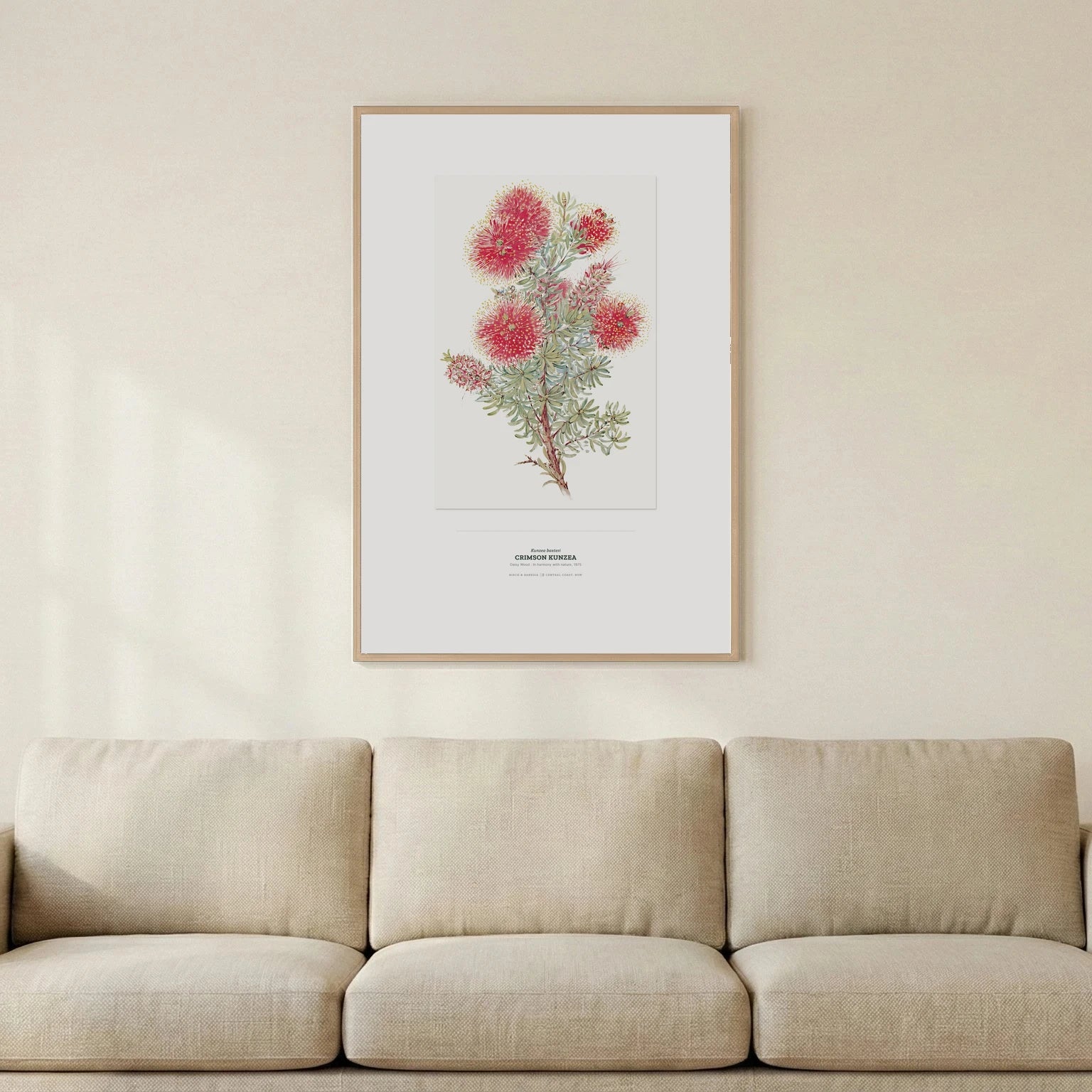 Crimson Kunzea Botanical Art Print - Birch & Banksia