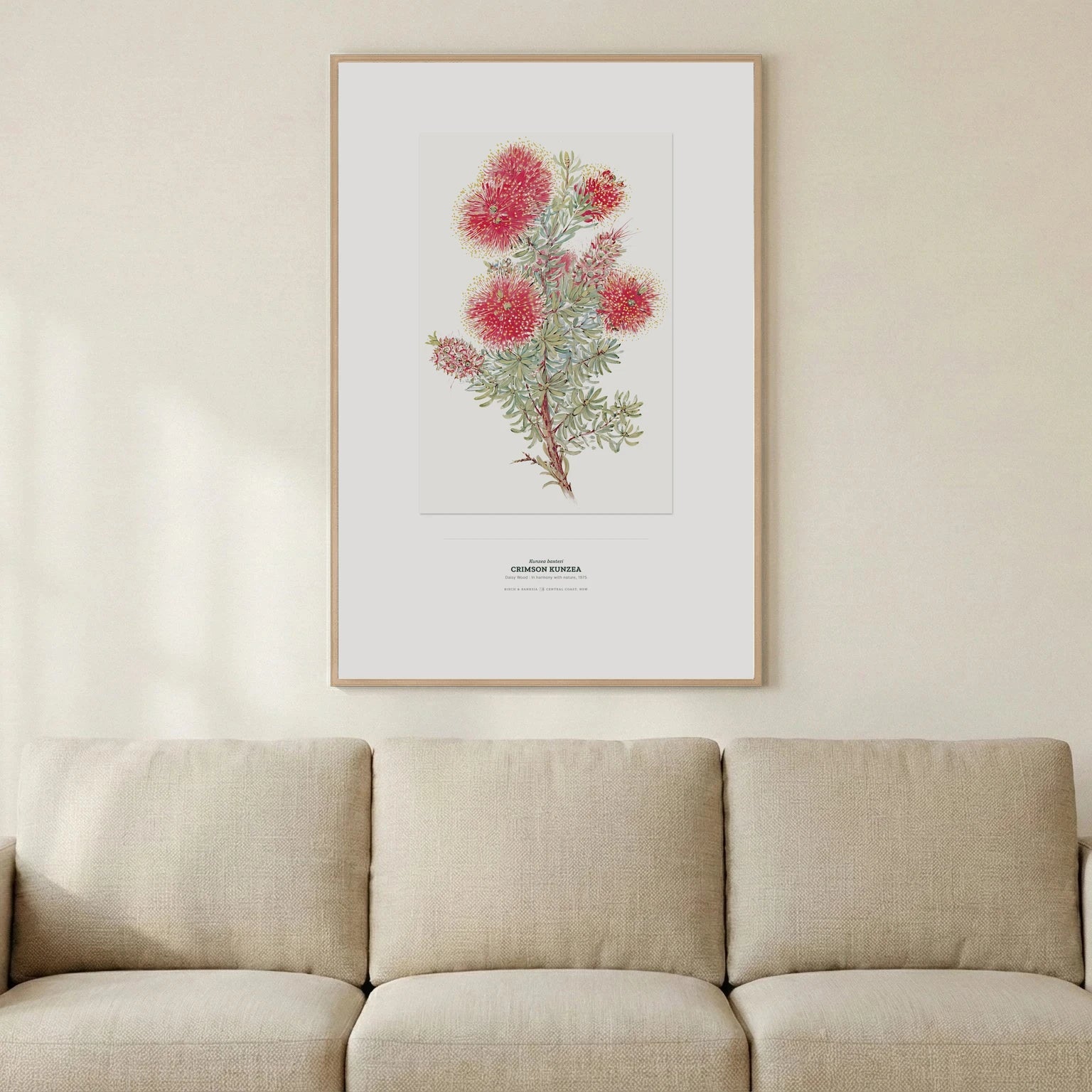 Crimson Kunzea Botanical Art Print - Birch & Banksia