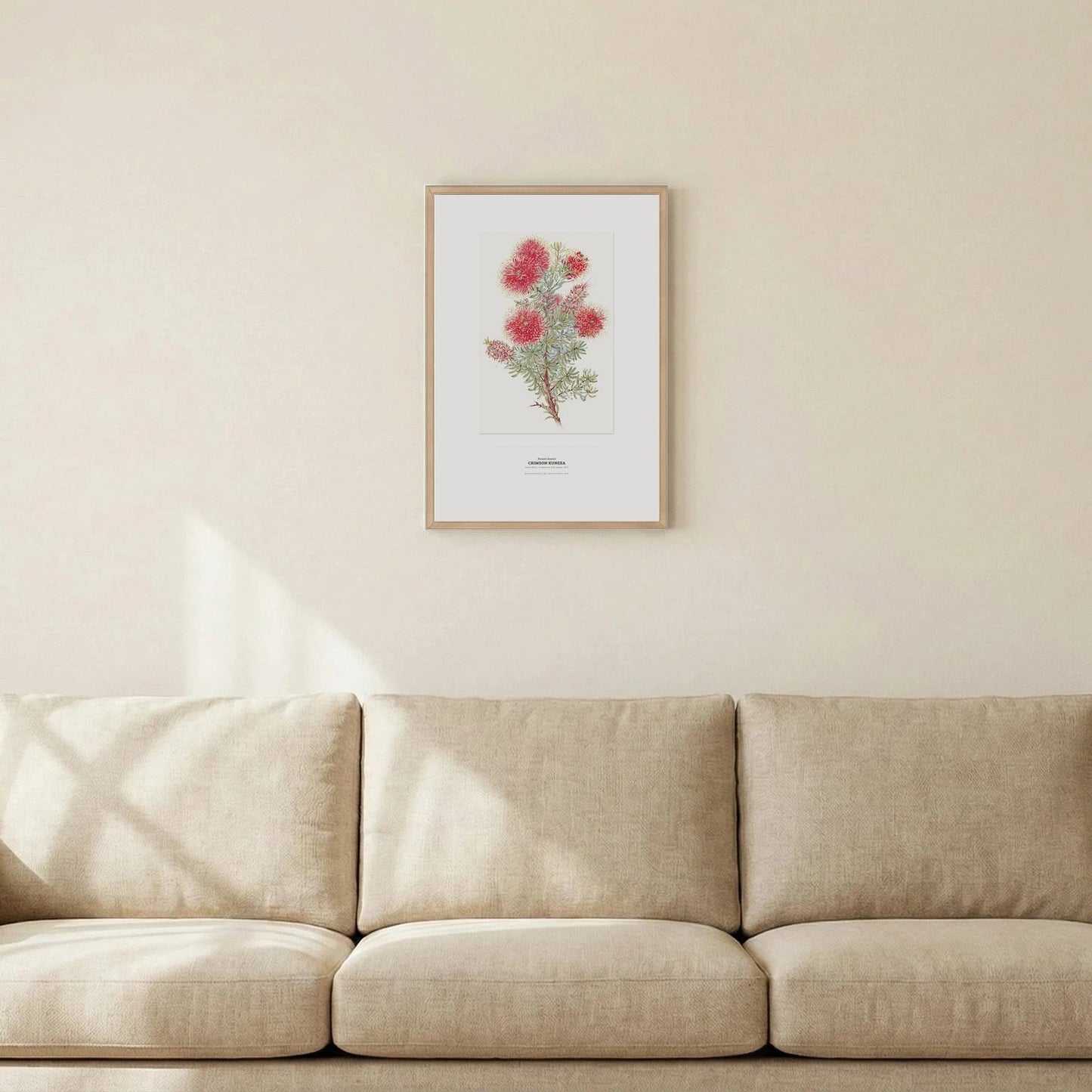 Crimson Kunzea Botanical Art Print - Birch & Banksia