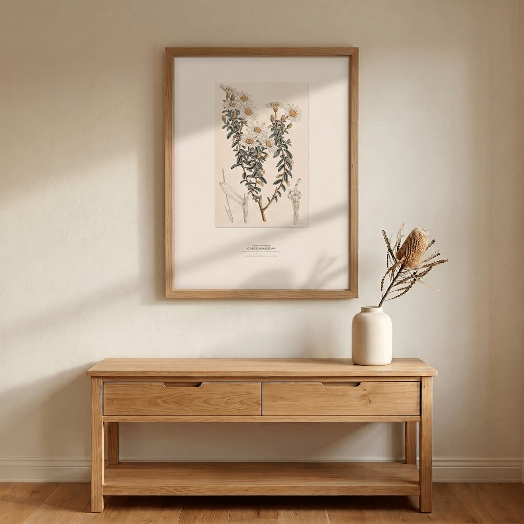 Dusty Daisy - Bush Botanical Art Print - Birch & Banksia