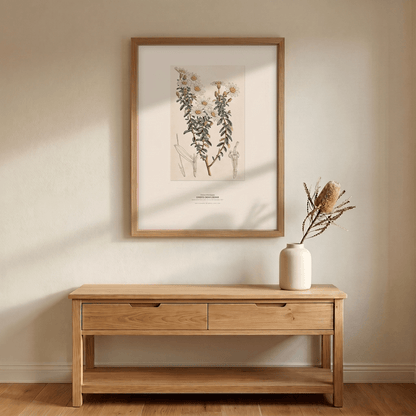 Dusty Daisy - Bush Botanical Art Print - Birch & Banksia