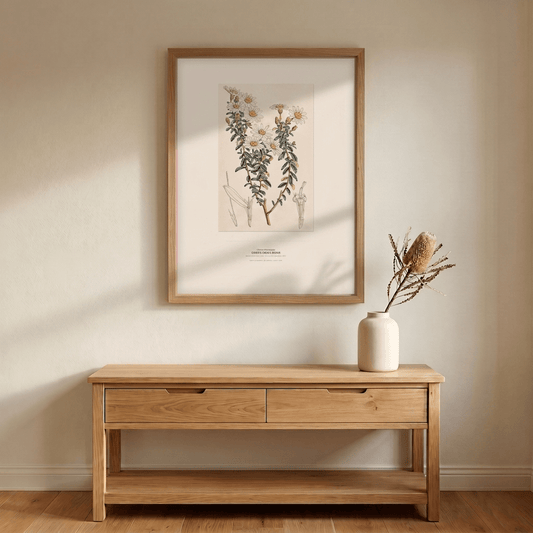 Dusty Daisy - Bush Botanical Art Print - Birch & Banksia