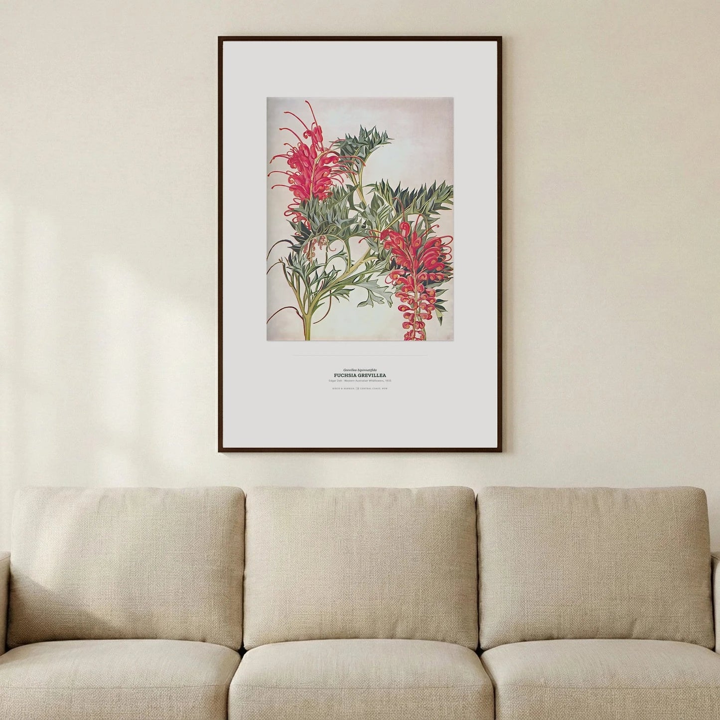 Fuchsia Grevillea Botanical Art Print - Birch & Banksia