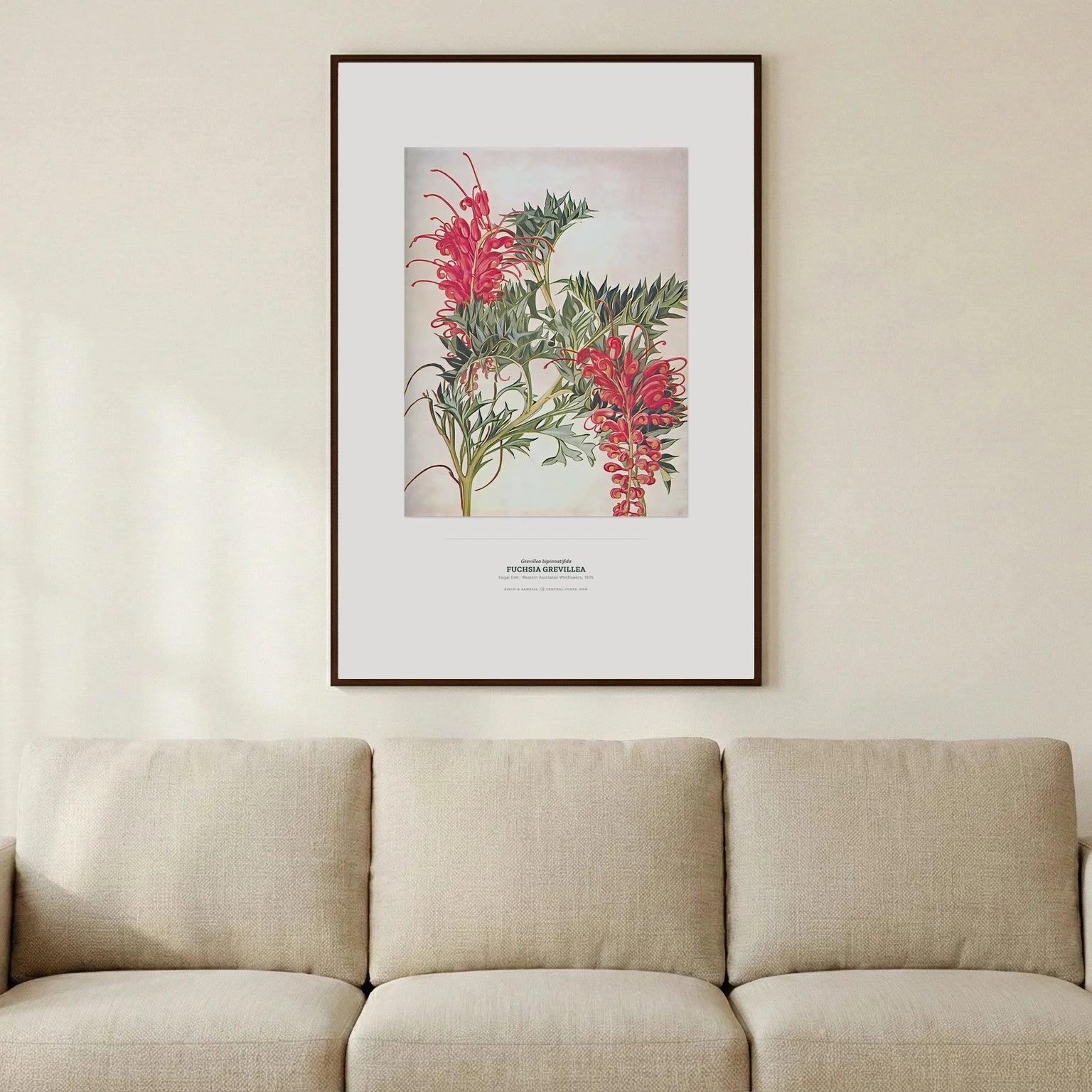 Fuchsia Grevillea Botanical Art Print - Birch & Banksia
