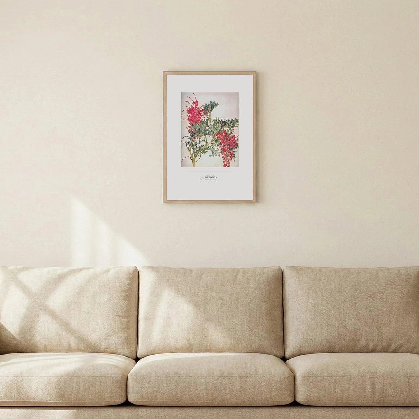 Fuchsia Grevillea Botanical Art Print - Birch & Banksia