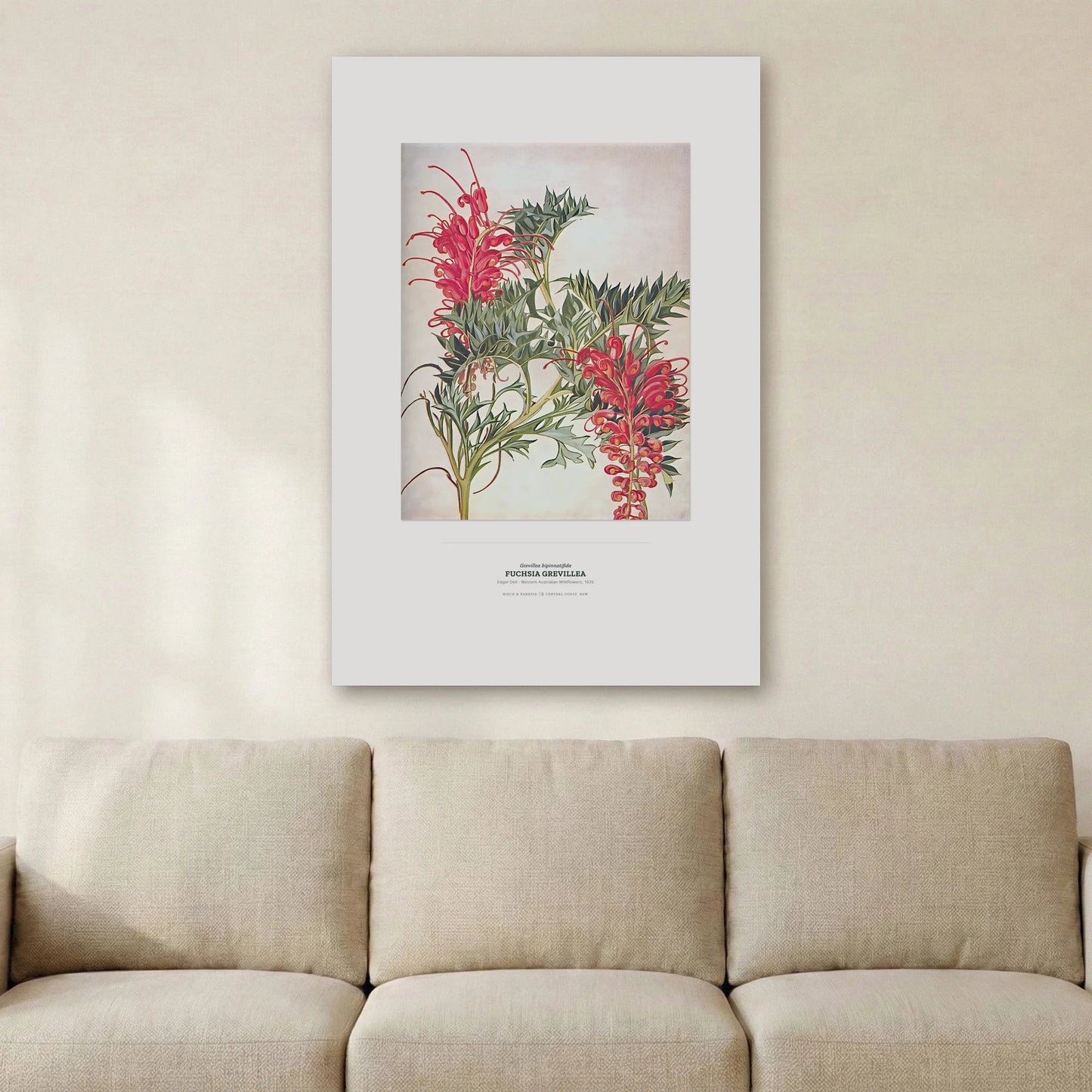 Fuchsia Grevillea Botanical Art Print - Birch & Banksia