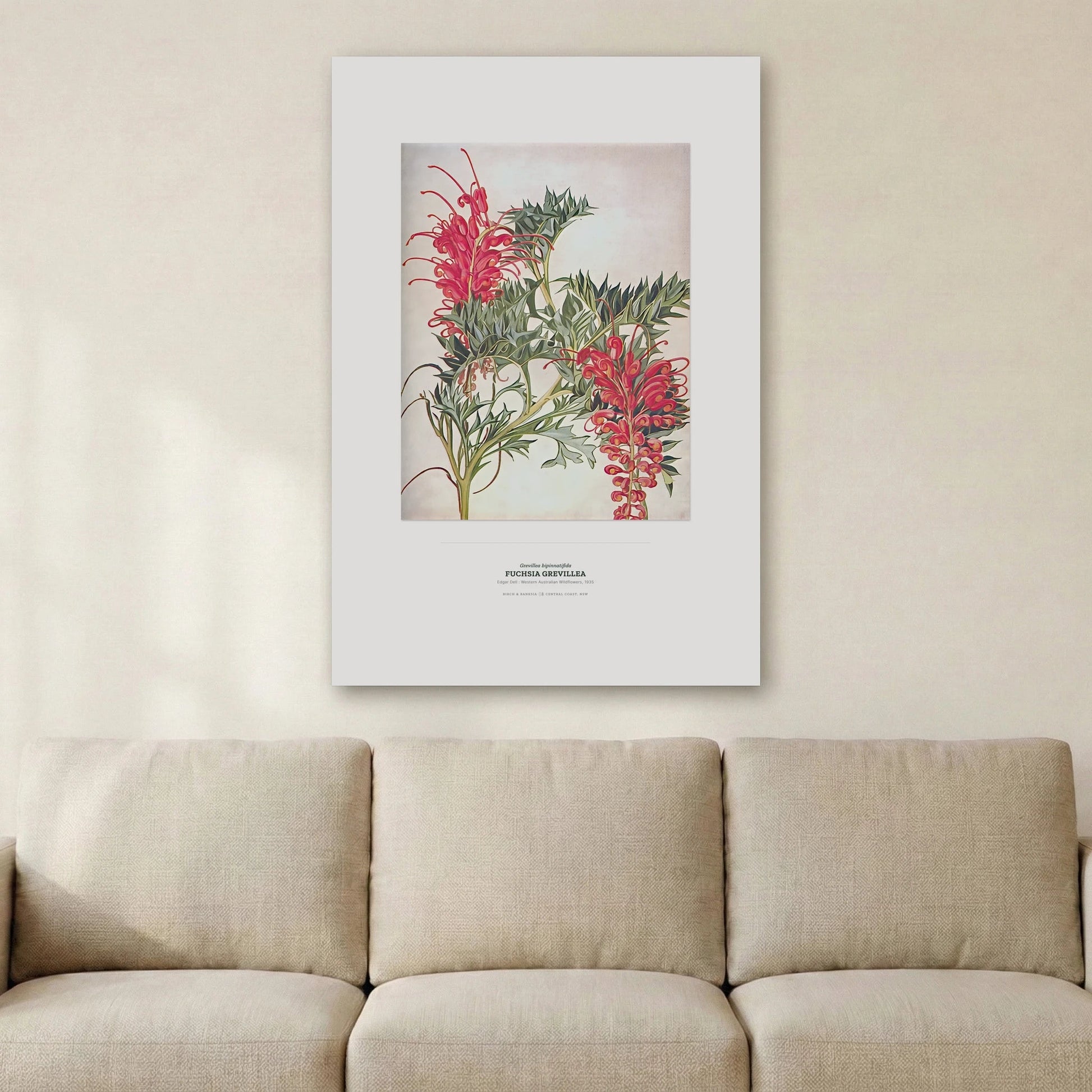 Fuchsia Grevillea Botanical Art Print - Birch & Banksia