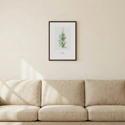 Juniper Botanical Art Print - Birch & Banksia