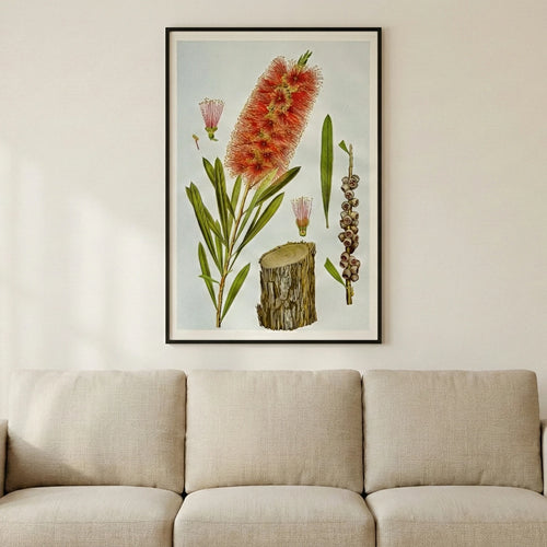 70 by 100 cm print on a wall