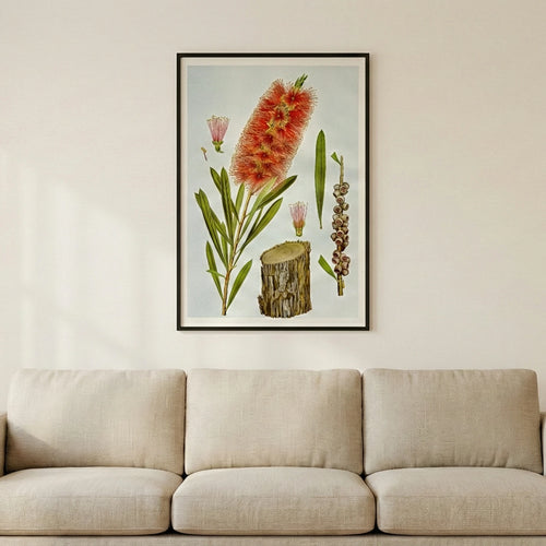 50 by 70 cm print on a wall