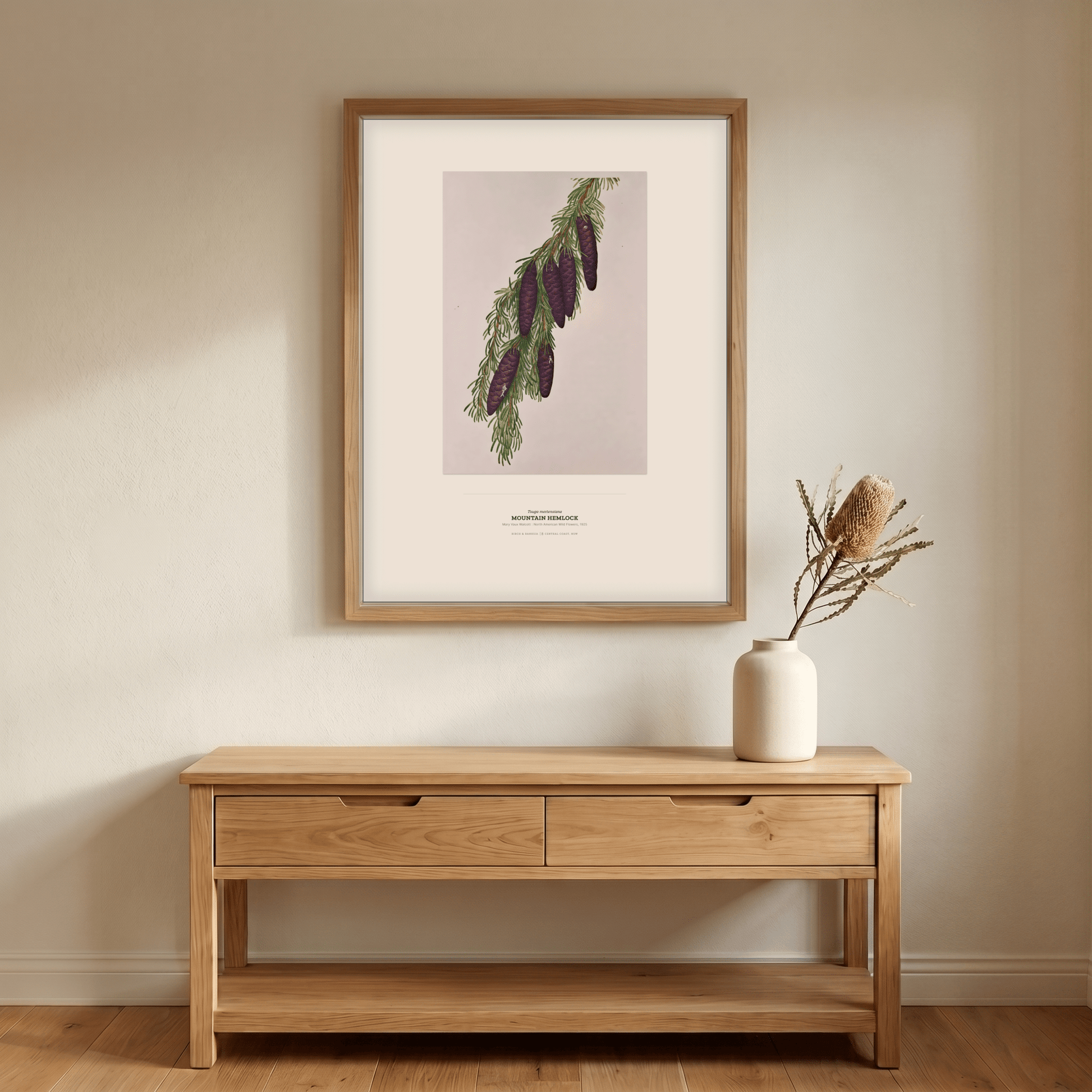 Mountain Hemlock Botanical Art Print - Birch & Banksia