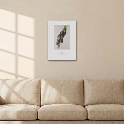 Mountain Hemlock Botanical Art Print - Birch & Banksia