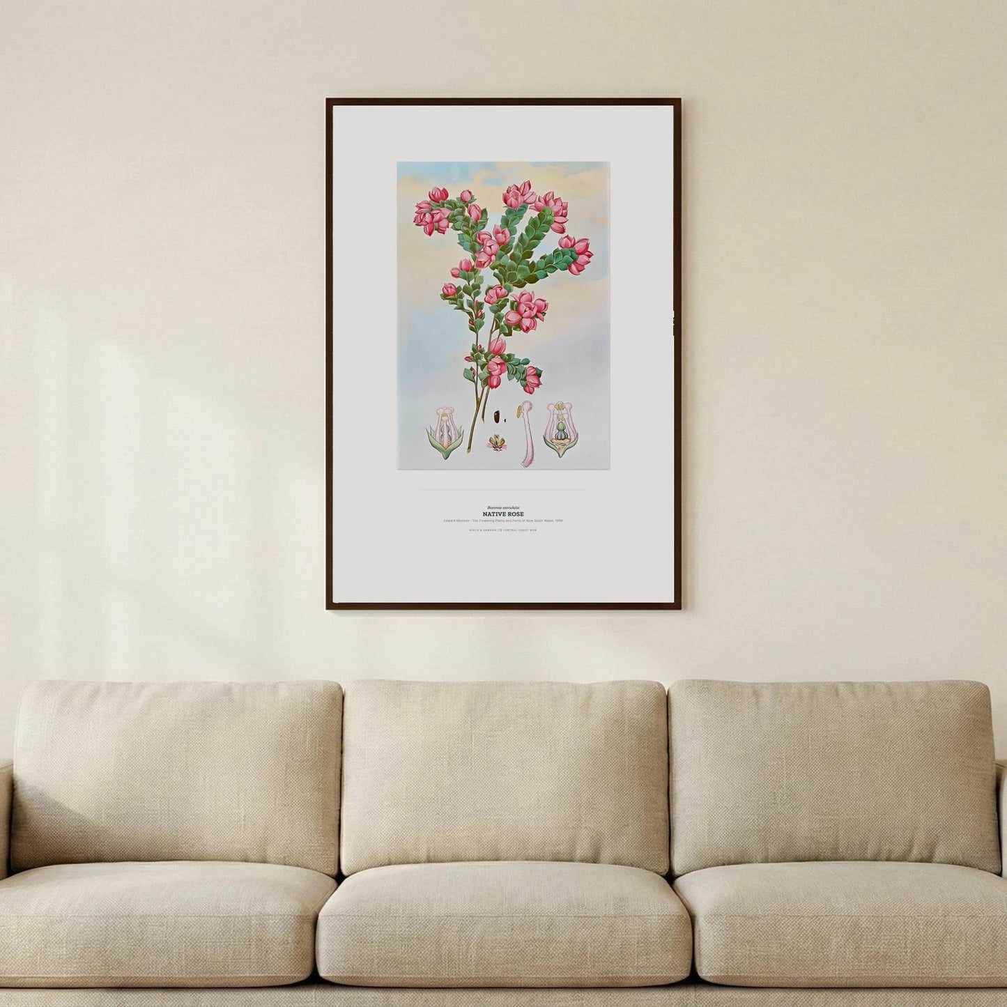Native Rose Botanical Art Print - Birch & Banksia