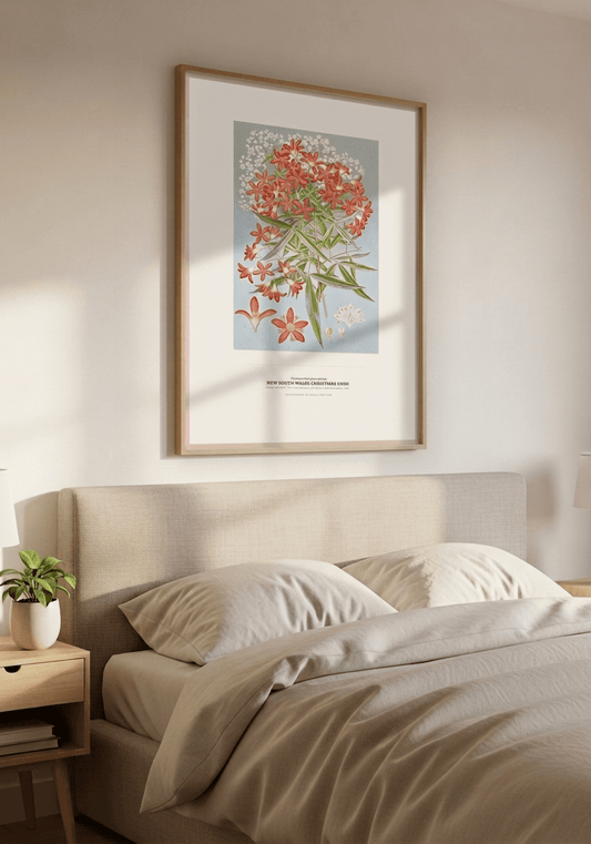 New South Wales Christmas Bush Botanical Art Print - Birch & Banksia