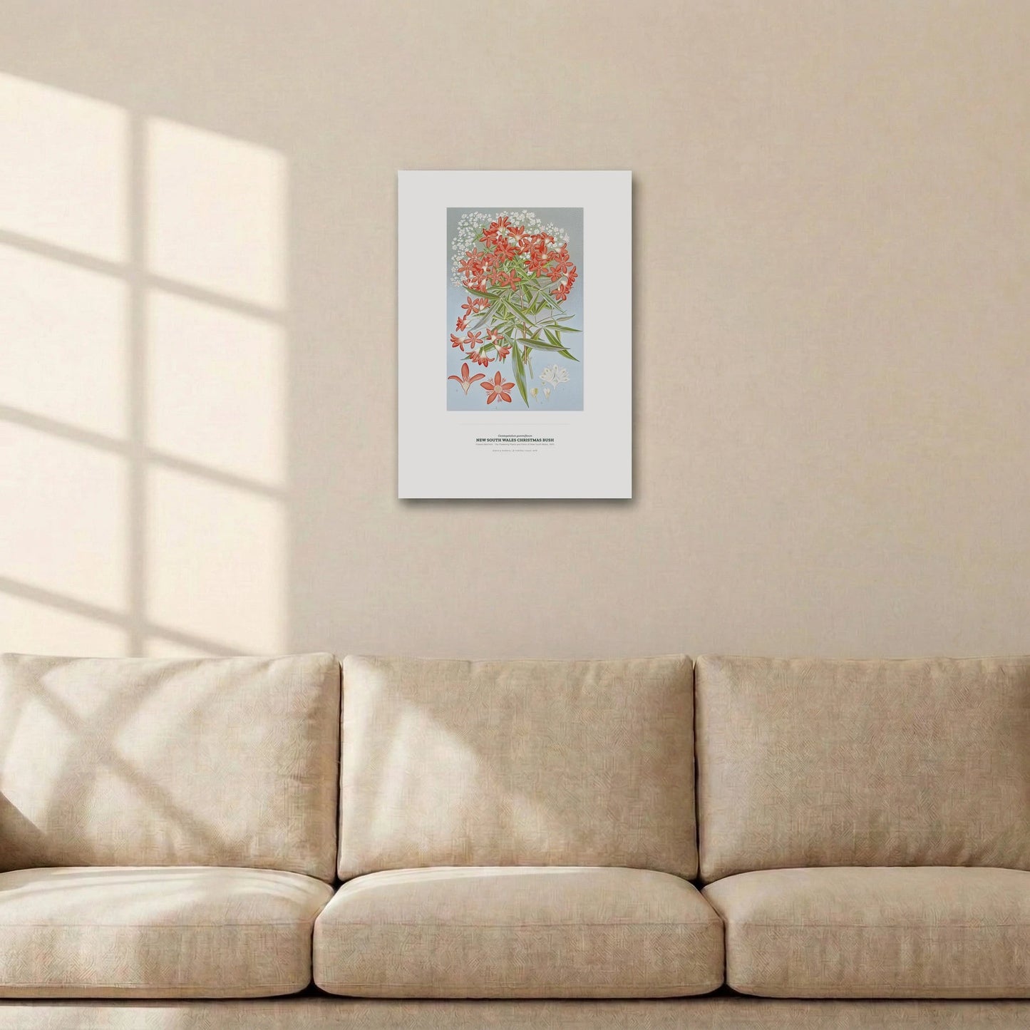 New South Wales Christmas Bush Botanical Art Print - Birch & Banksia