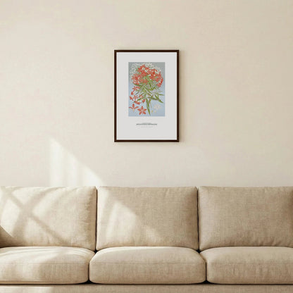 New South Wales Christmas Bush Botanical Art Print - Birch & Banksia