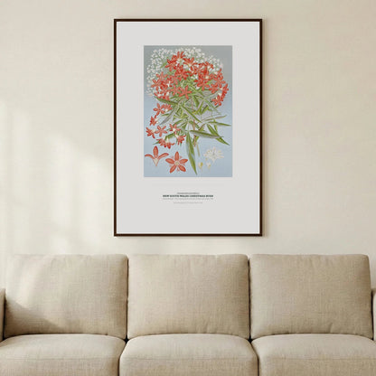 New South Wales Christmas Bush Botanical Art Print - Birch & Banksia
