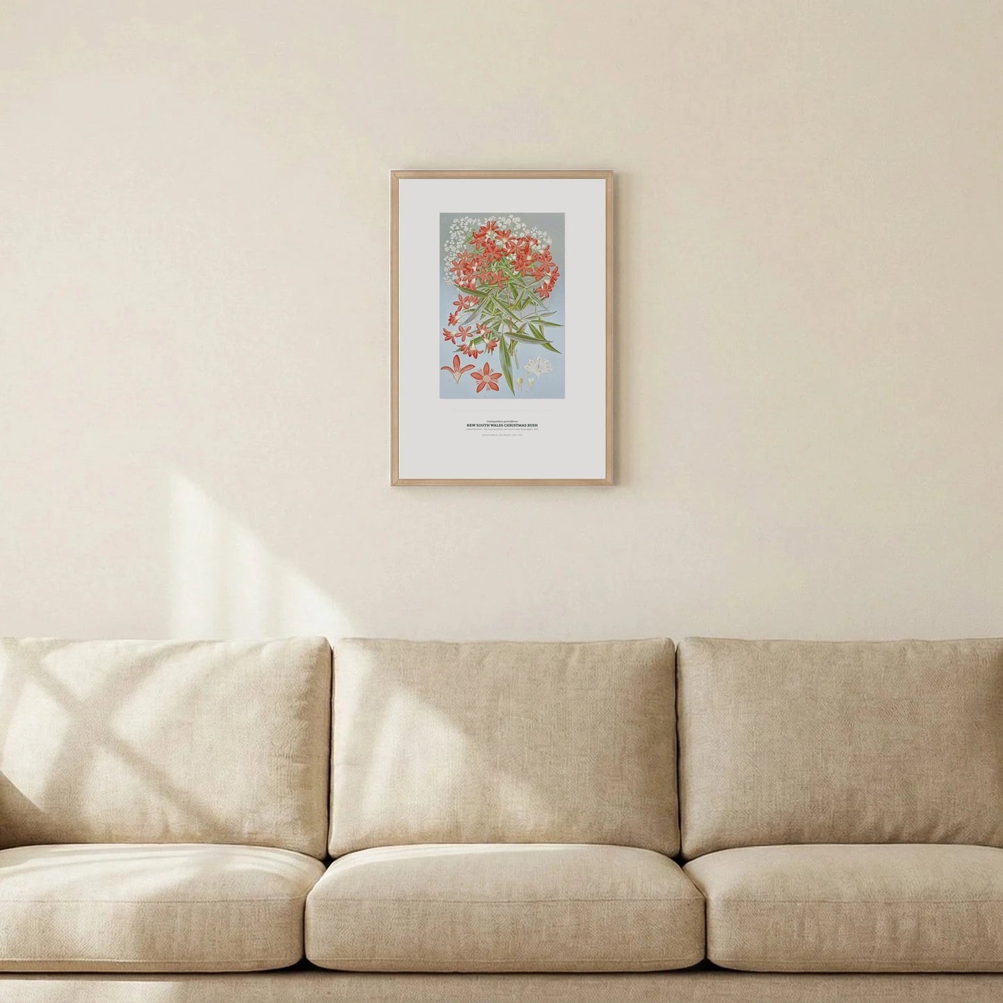 New South Wales Christmas Bush Botanical Art Print - Birch & Banksia