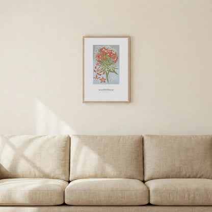 New South Wales Christmas Bush Botanical Art Print - Birch & Banksia