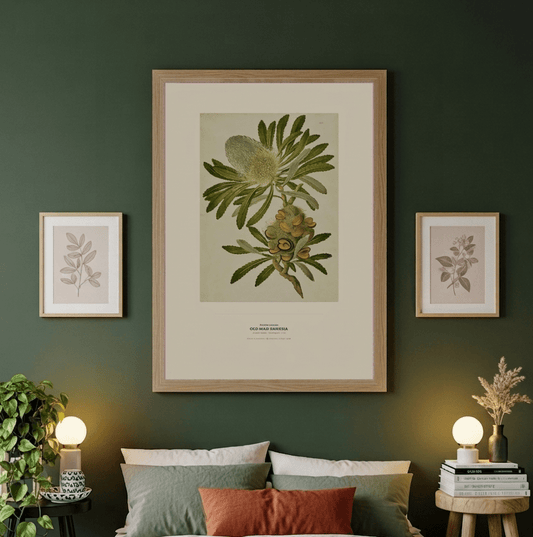 Old Man Banksia Botanical Art Print - Birch & Banksia
